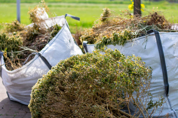 Best Recycling Services for Junk  in Round Rock, TX